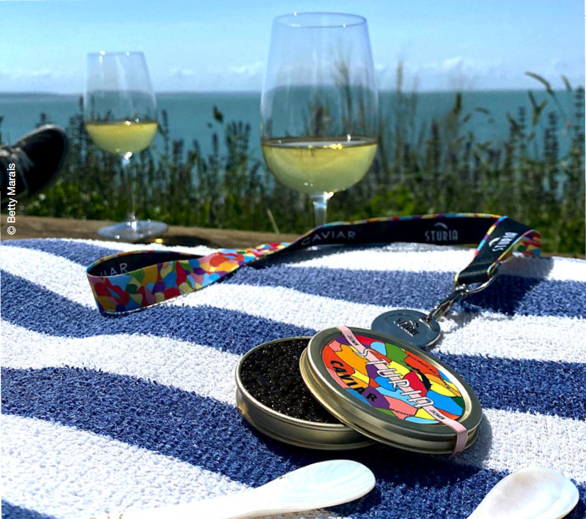 L'aventure de Betty Marais