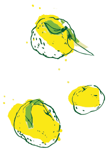 Yuzu