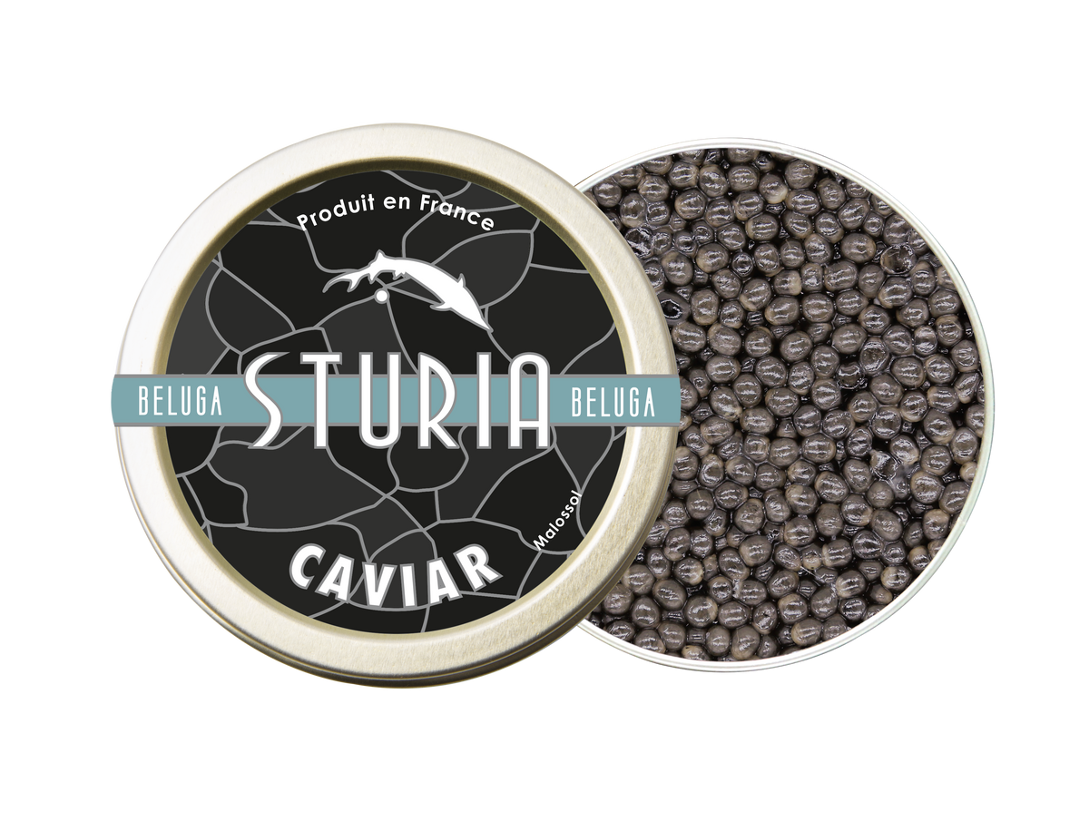 Caviar Sturia Beluga